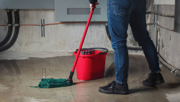 Best Flood restoration services  in Hustisford, WI