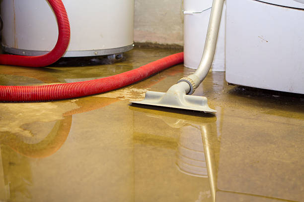 Water damage restoration insurance claims in Hustisford, WI