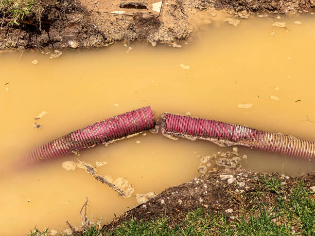 Water damage restoration experts in Hustisford, WI