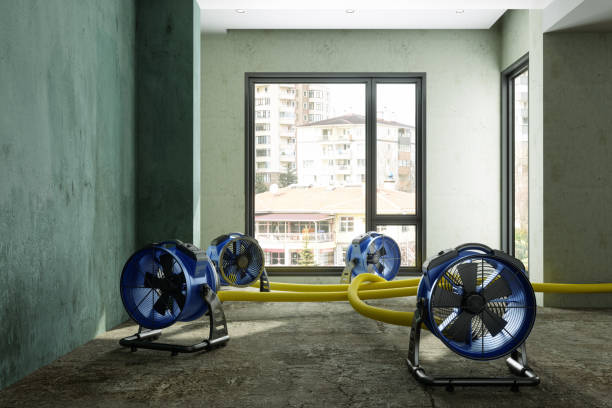 Best Basement water damage restoration  in Hustisford, WI